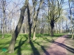 Loshitsa park