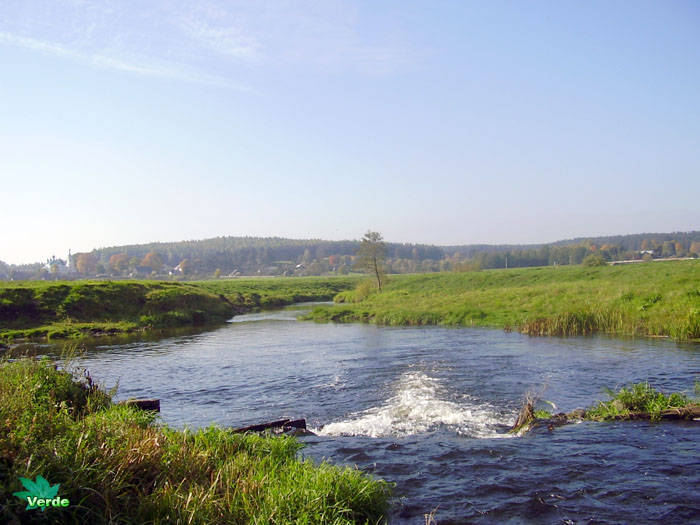 The nature of river basin of Molchad