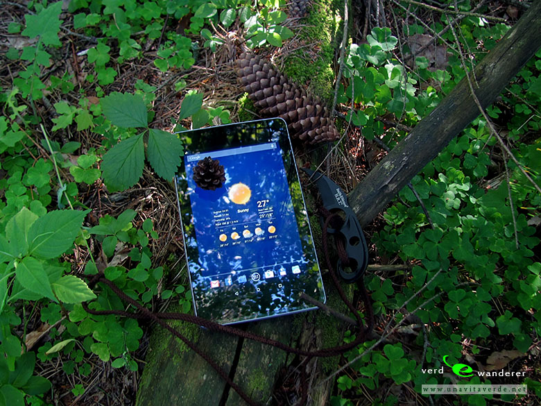 Tablet in forest